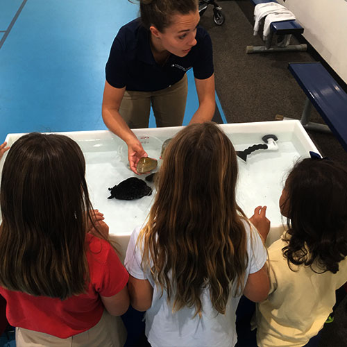 Student teaching kids about ocean animals